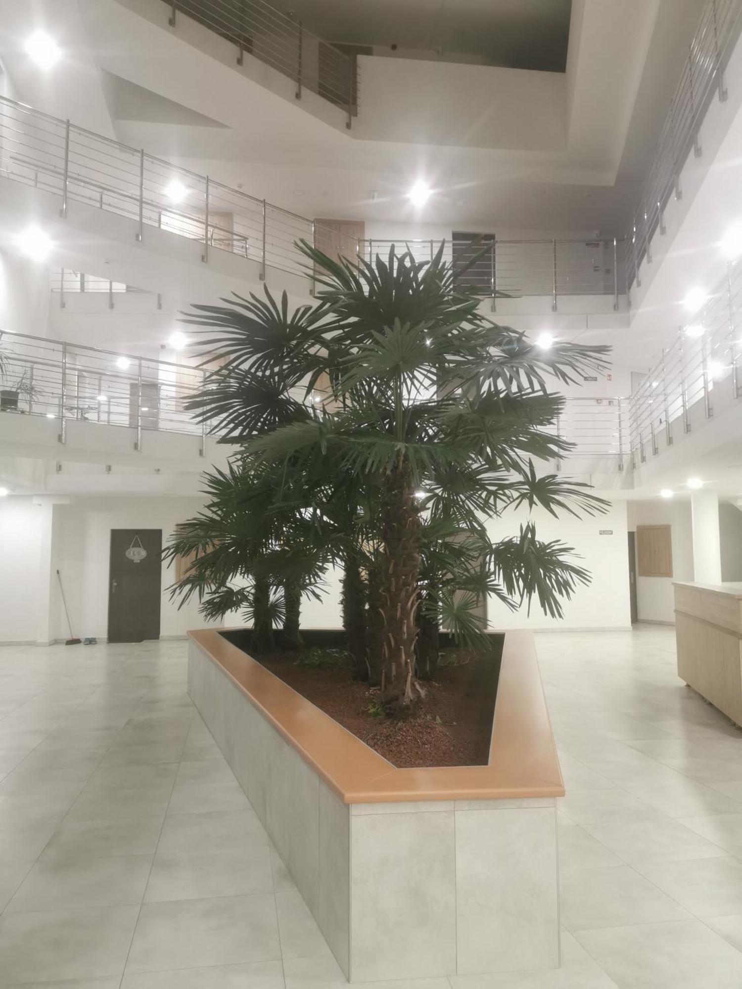 Beli Apartman Melygarazzsal Hévíz 외부 사진
